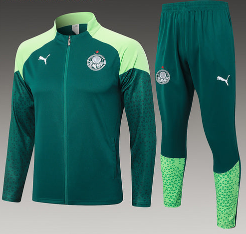 Agasalho Palmeiras - 2024/25